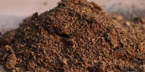 Peat moss o musgo de turba: qué es, para qué sirve y cómo usarlo