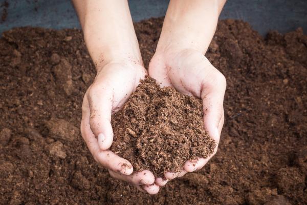 Peat moss o musgo de turba: qué es, para qué sirve y cómo usarlo - Qué es el peat moss o musgo de turba