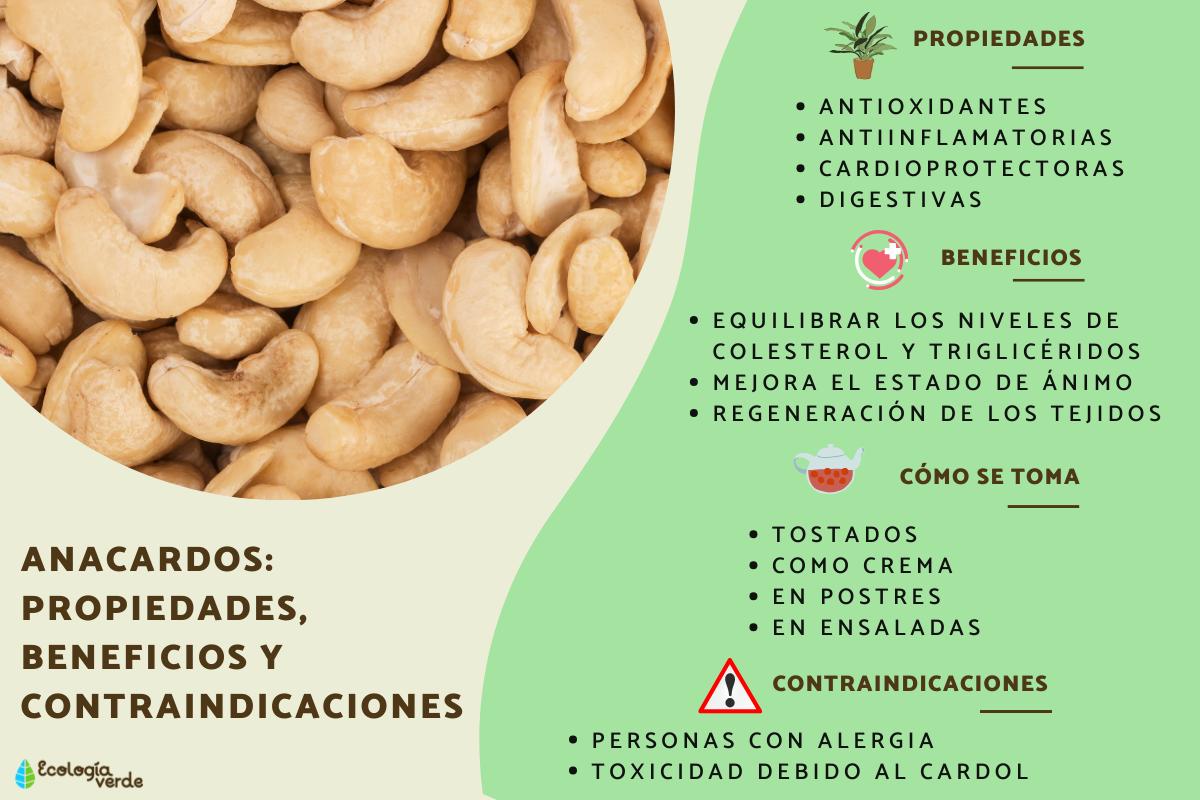 Anacardos: propiedades, beneficios y contraindicaciones
