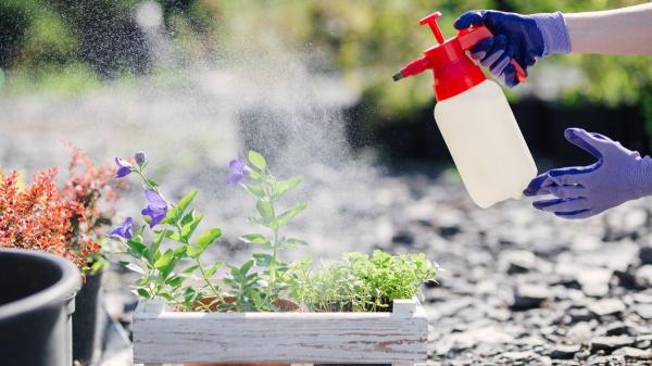 Cómo abonar tus plantas en primavera para que crezcan más fuertes (y los errores que debes evitar) - El mejor momento para abonar y notar resultados reales es ahora