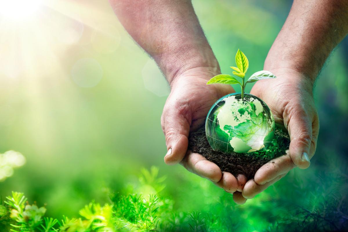 Ecodiseño: qué es y ejemplos