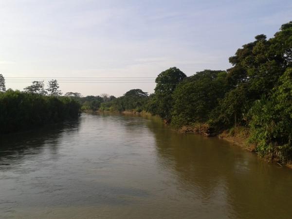 Ríos más importantes de Venezuela - Río Santo Domingo