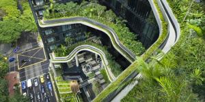 Biofilia, la conexión del ser humano con la naturaleza