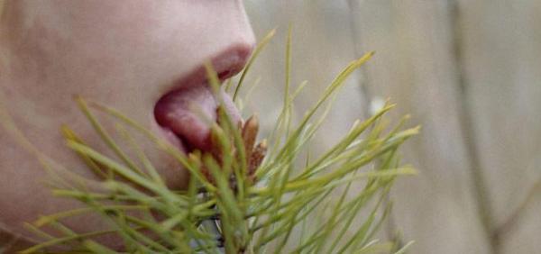 Biofilia, la conexión del ser humano con la naturaleza - En las ciudades
