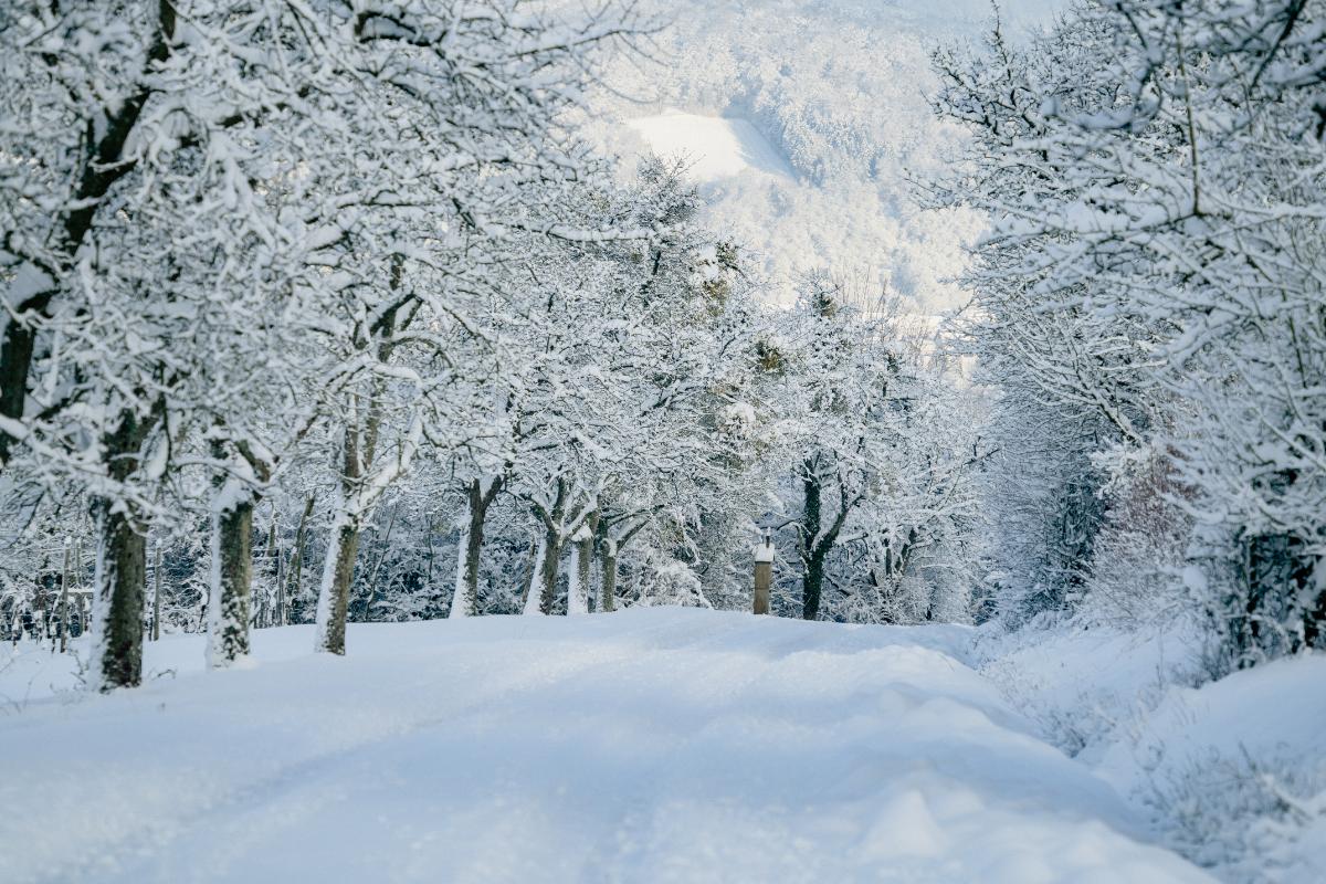 ¿Por qué la nieve es blanca?