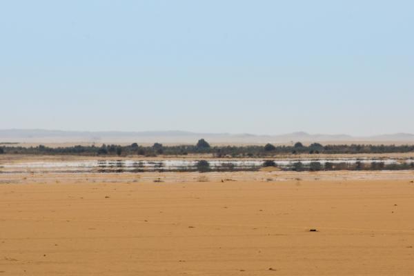 Efecto Fata Morgana: qué es, cómo ocurre y ejemplos -  Cómo ocurre el efecto Fata Morgana