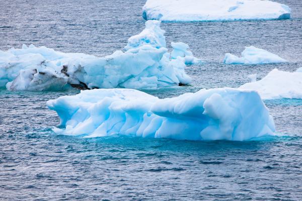 Témpano de hielo: qué es, tipos, cómo se forma y diferencia con un iceberg - Tipos de témpanos de hielo