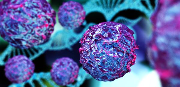 Células madre: qué son, tipos y función - Qué son las células madre y sus características 