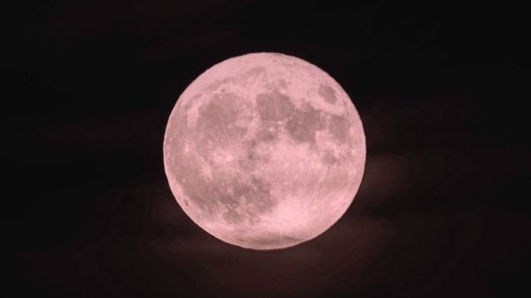 Qué es la Luna Rosa de abril y por qué no se verá de color rosa