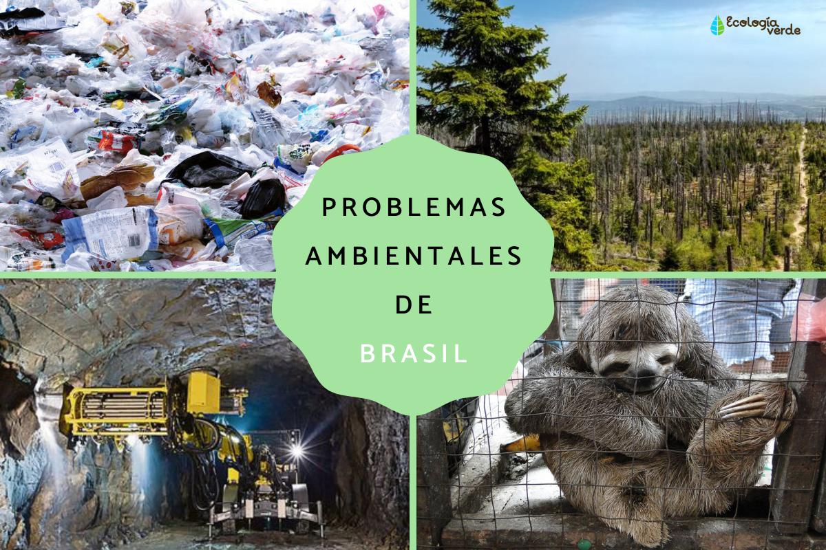 Problemas ambientales en Brasil