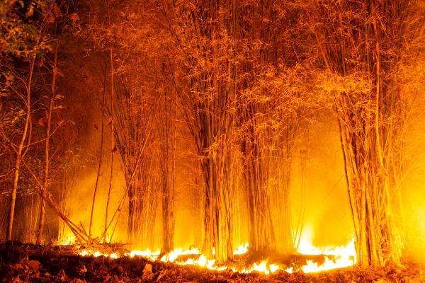 Qué es una cúpula de calor, causas y consecuencias - Consecuencias de la cúpula de calor