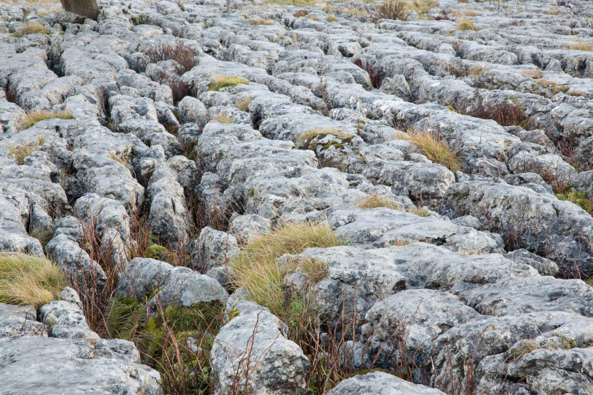 Lapiaces o lenares: qué son, formación, tipos y dónde hay