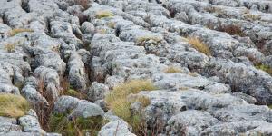 Lapiaces o lenares: qué son, formación, tipos y dónde hay