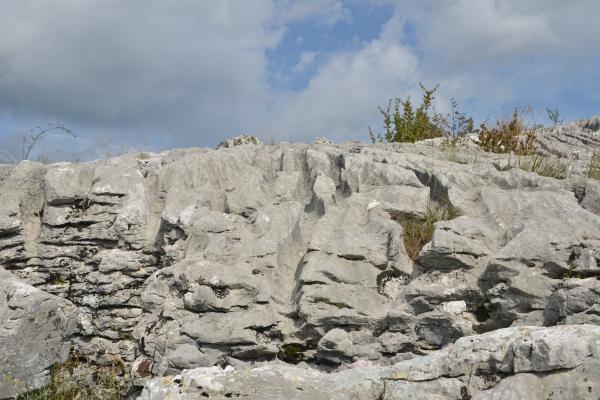 Lapiaces o lenares: qué son, formación, tipos y dónde hay - Qué son los lapiaces o lenares