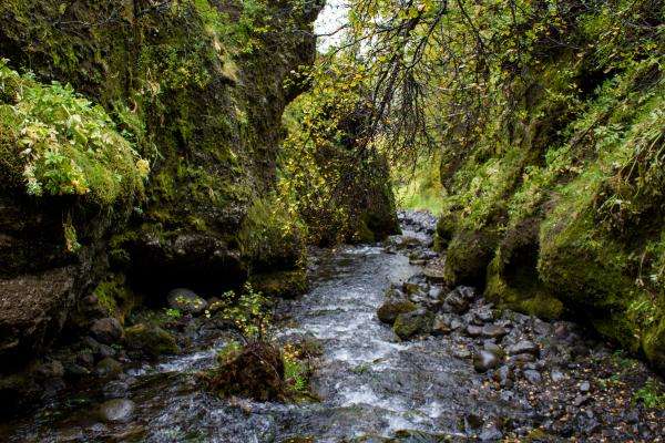 Quebrada: qué es, características y cómo se forma - ¿Cómo se forma una quebrada?
