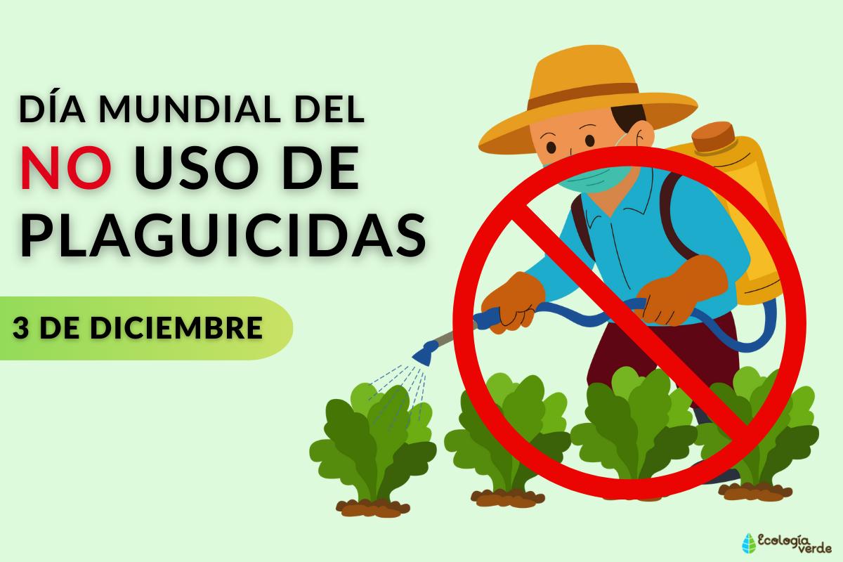 Día Mundial del No Uso de Plaguicidas: cuándo es y por qué se celebra