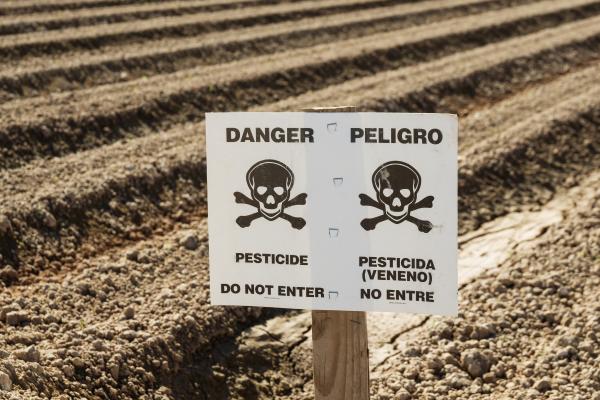 Día Mundial del No Uso de Plaguicidas: cuándo es y por qué se celebra - ¿Por qué se celebra el Día Mundial del No Uso de Plaguicidas?