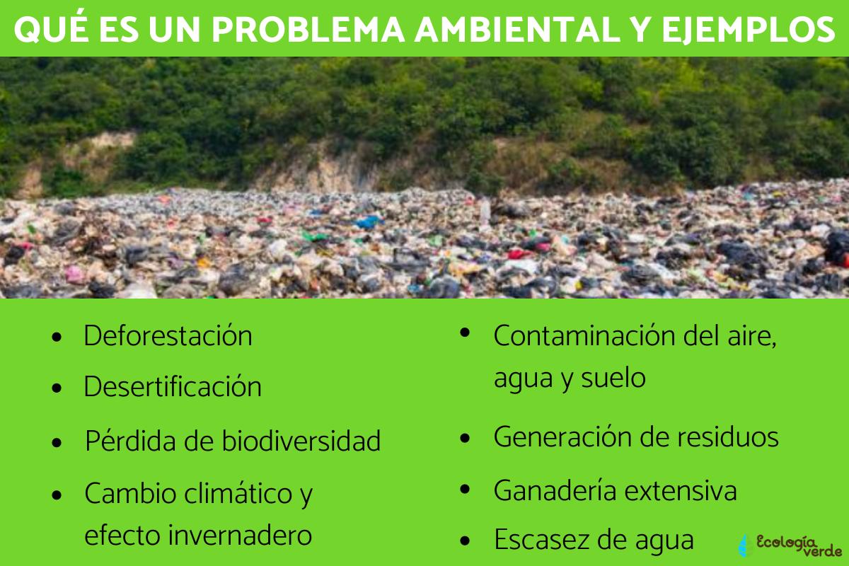 Qué es un problema ambiental y ejemplos