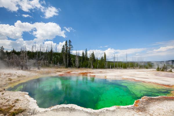 Hidrología: qué es, ramas, historia y aplicaciones - Ramas de la hidrología