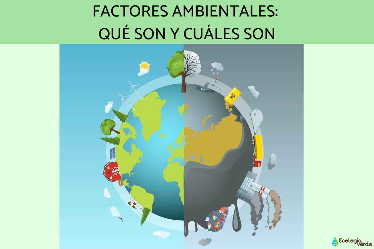 Factores ambientales: qué son y cuáles son