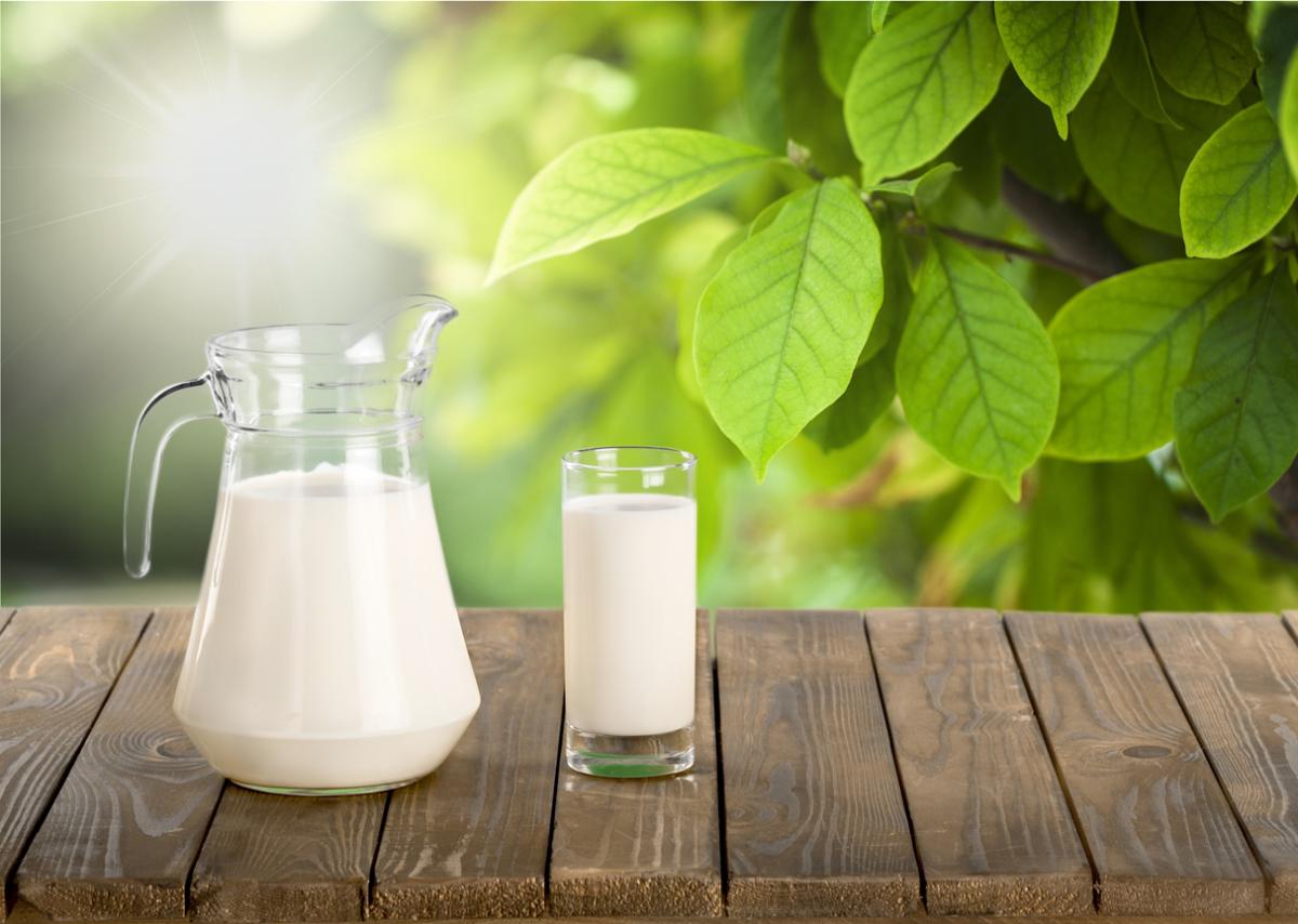 Leche para las plantas: beneficios y cómo usarla
