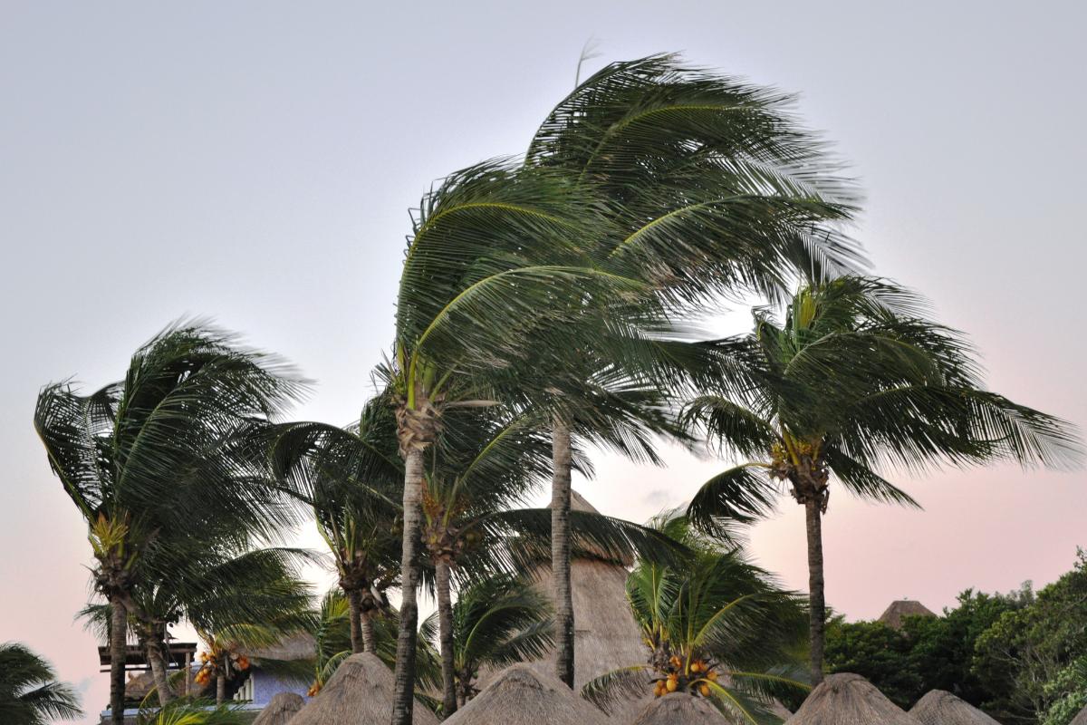 Cuándo se considera viento fuerte