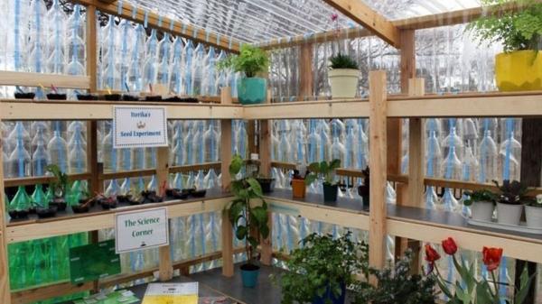 Una escuela australiana recogió más de 2.000 botellas de plástico y las convirtió en un invernadero para cultivar durante todo el año - El invernadero se convirtió en un aula para cultivar y experimentar durante todo el año