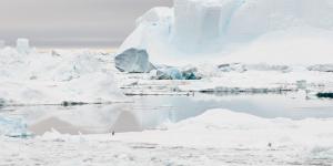 Banquisa: qué es, cuántas hay y cómo se forma