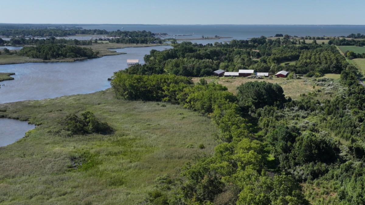Compraron 47 hectáreas en Maryland para cazar y 20 años después las habían convertido en un refugio para la fauna con árboles, flores y humedales