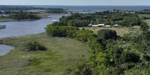 Compraron 47 hectáreas en Maryland para cazar y 20 años después las habían convertido en un refugio para la fauna con árboles, flores y humedales
