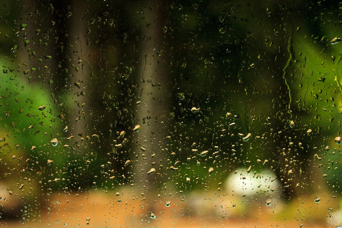 Llovizna: qué es, consecuencias y diferencia con la lluvia