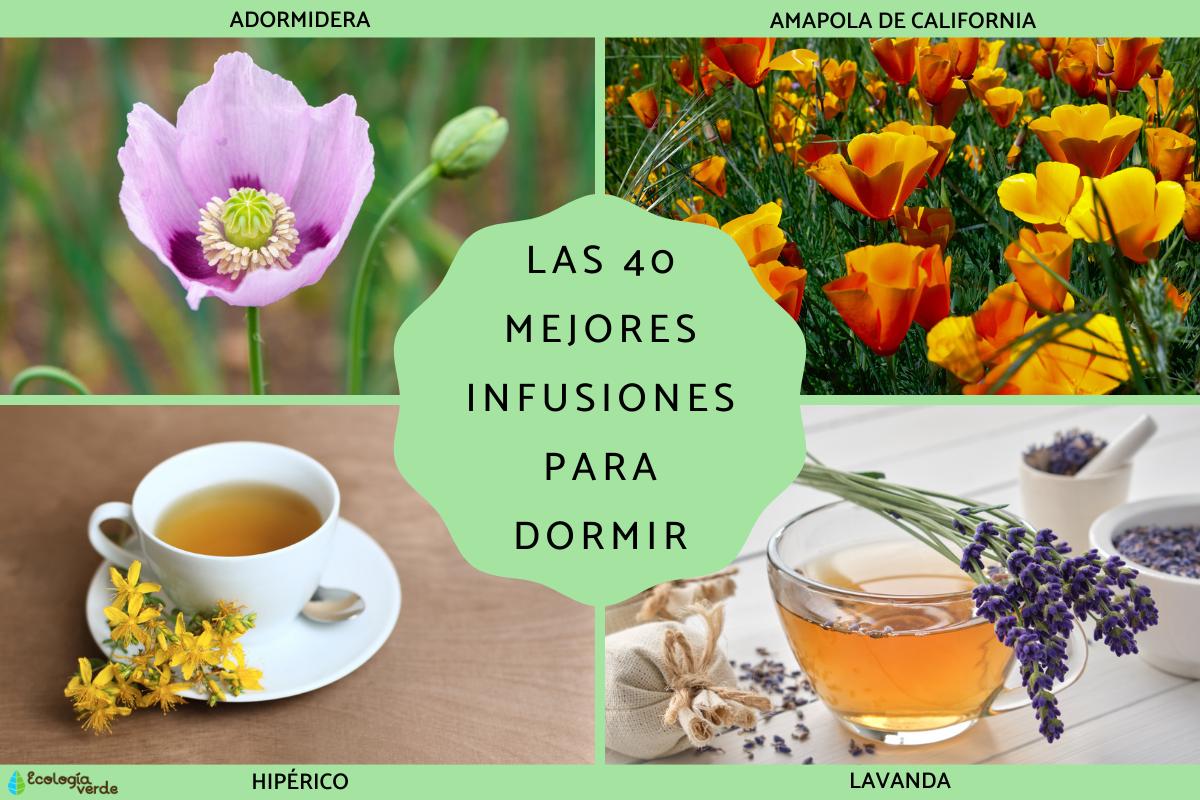 Las mejores infusiones para dormir