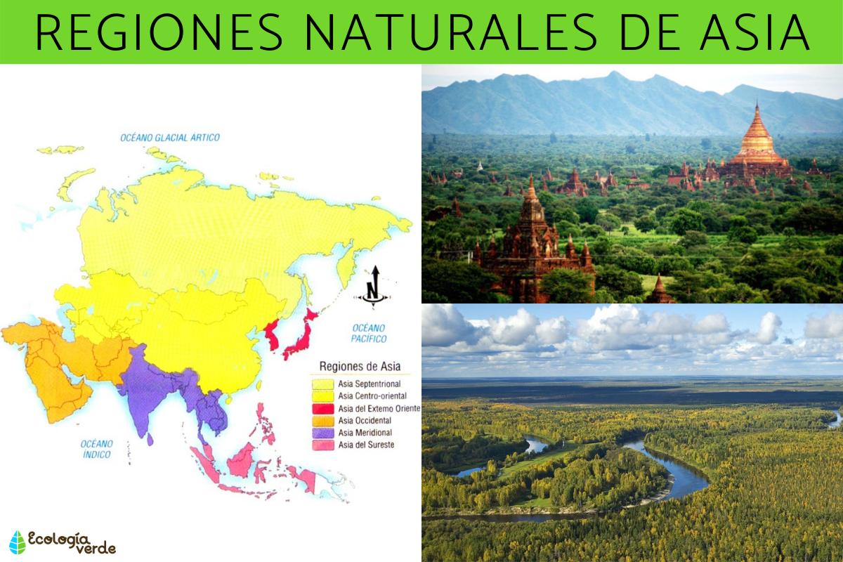 Regiones naturales de Asia