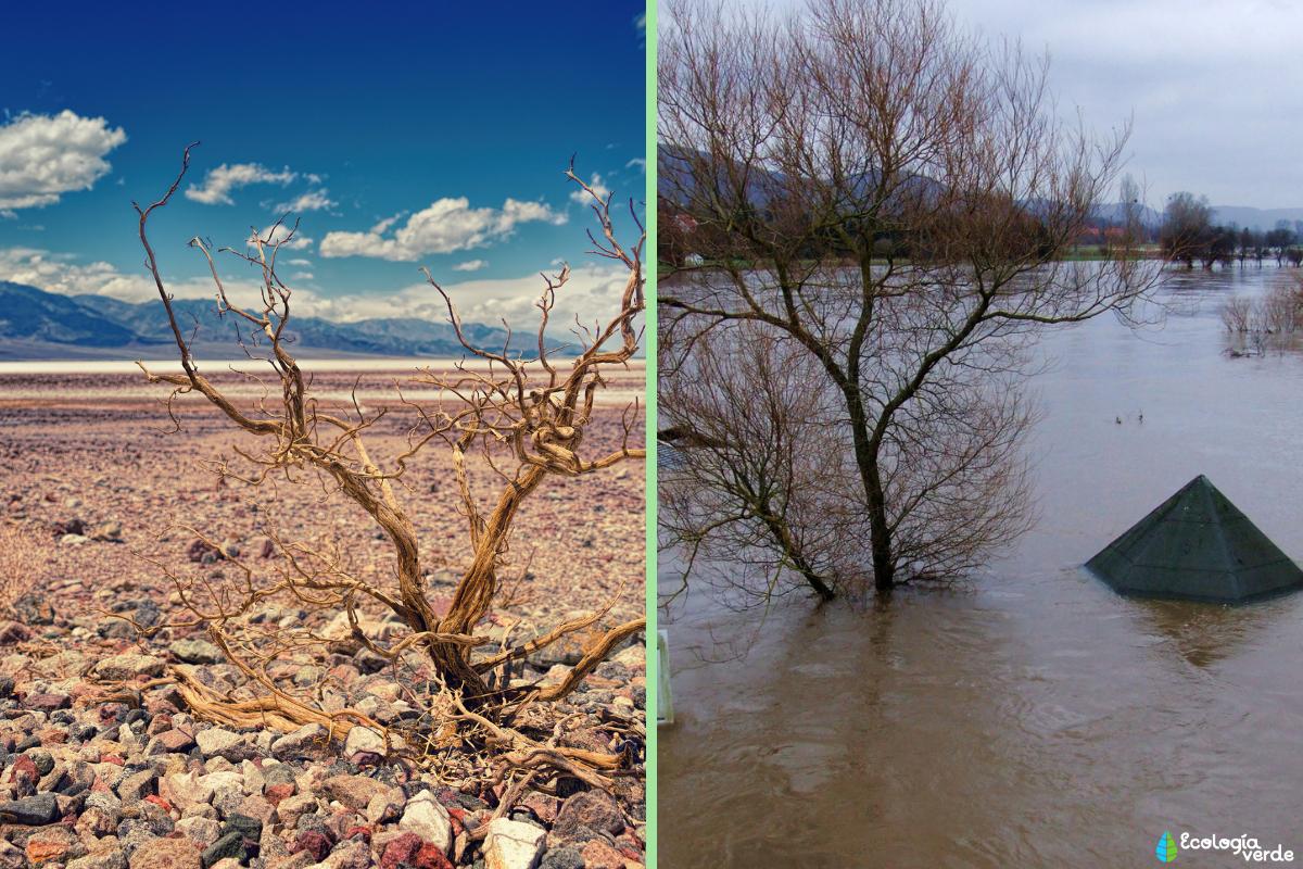 Fenómeno De El Niño: Qué Es, Causas Y Consecuencias - Resumen