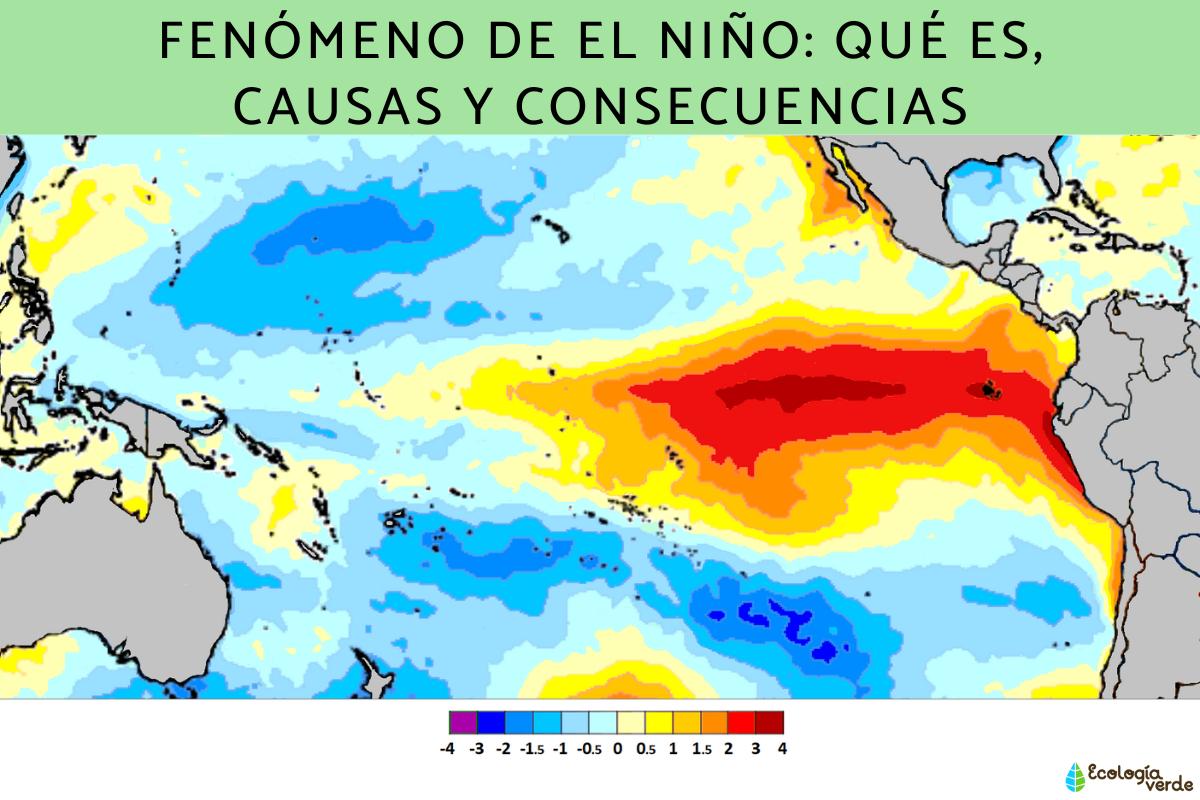 Fenómeno de El Niño: qué es, causas y consecuencias