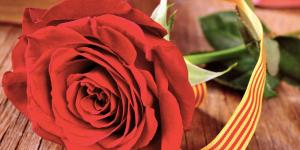 Cómo hacer que la rosa de Sant Jordi dure más tiempo (y no se marchite rápido)