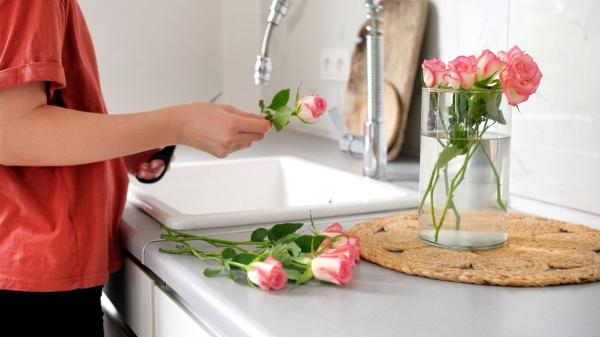 Cómo hacer que la rosa de Sant Jordi dure más tiempo (y no se marchite rápido) - El hábito que alargará la vida de tu rosa sin apenas esfuerzo