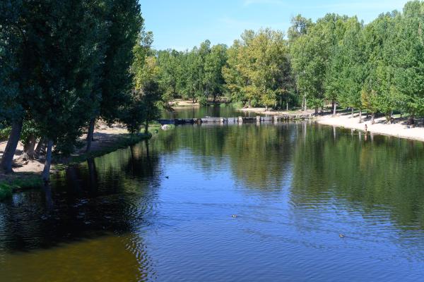 Río Alberche - Importancia del río Alberche