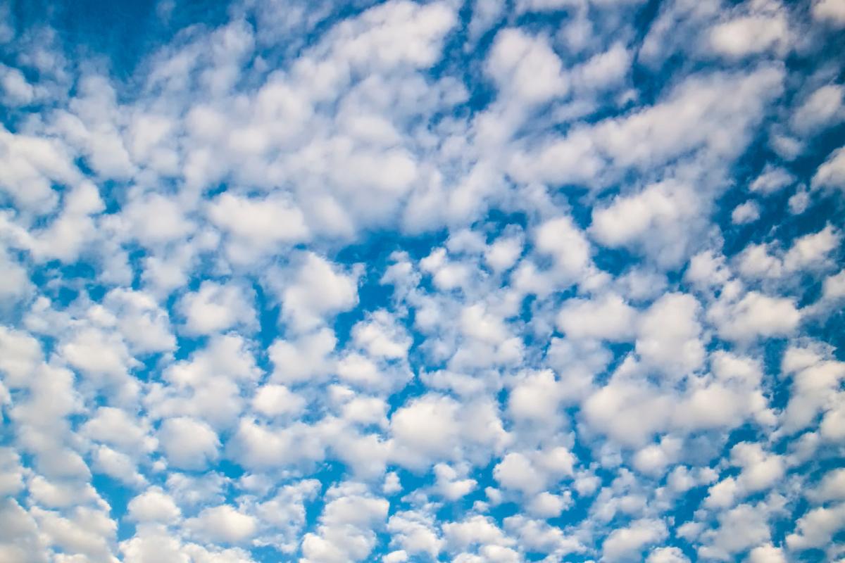 Altocúmulos: qué son, cómo se forman, tipos y significado