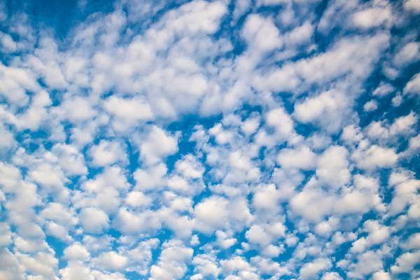 Altocúmulos: qué son, cómo se forman, tipos y significado