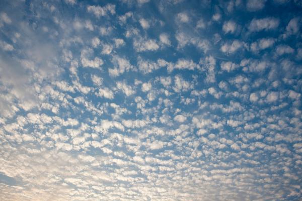 Altocúmulos: qué son, cómo se forman, tipos y significado - Qué son los altocúmulos