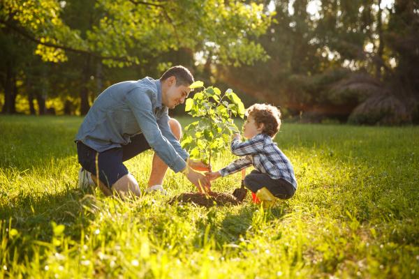 Tierra de diatomeas: qué es, para qué sirve, dónde comprarla y contraindicaciones - ¿Cuáles son las dosis de tierra de diatomeas?