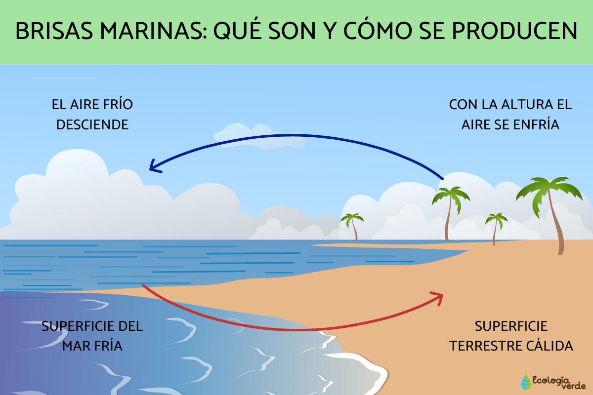 Brisas marinas: qué son y cómo se producen