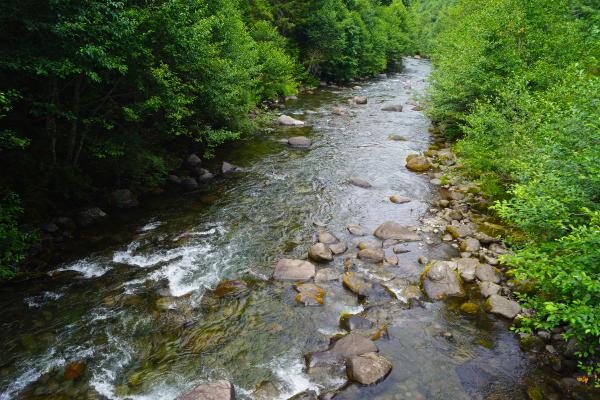Cuenca hidrográfica: qué es, partes y cómo se forma - Qué es una cuenca hidrográfica
