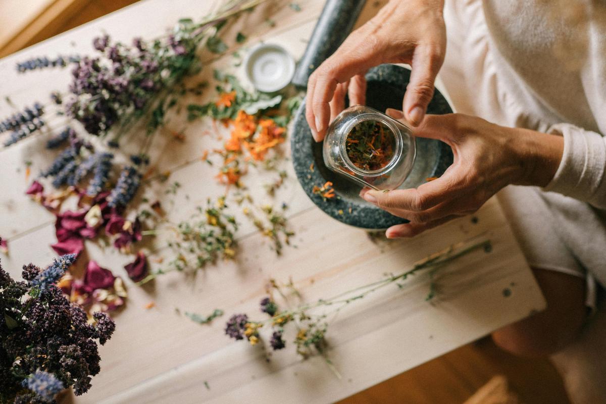 Etnobotánica: qué es, qué estudia, historia, ramas e importancia