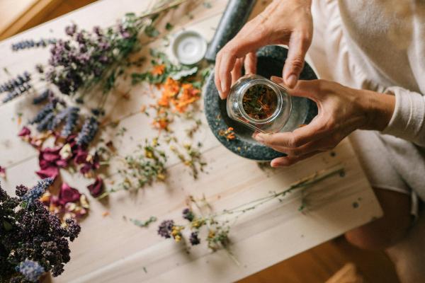 Etnobotánica: qué es, qué estudia, historia, ramas e importancia