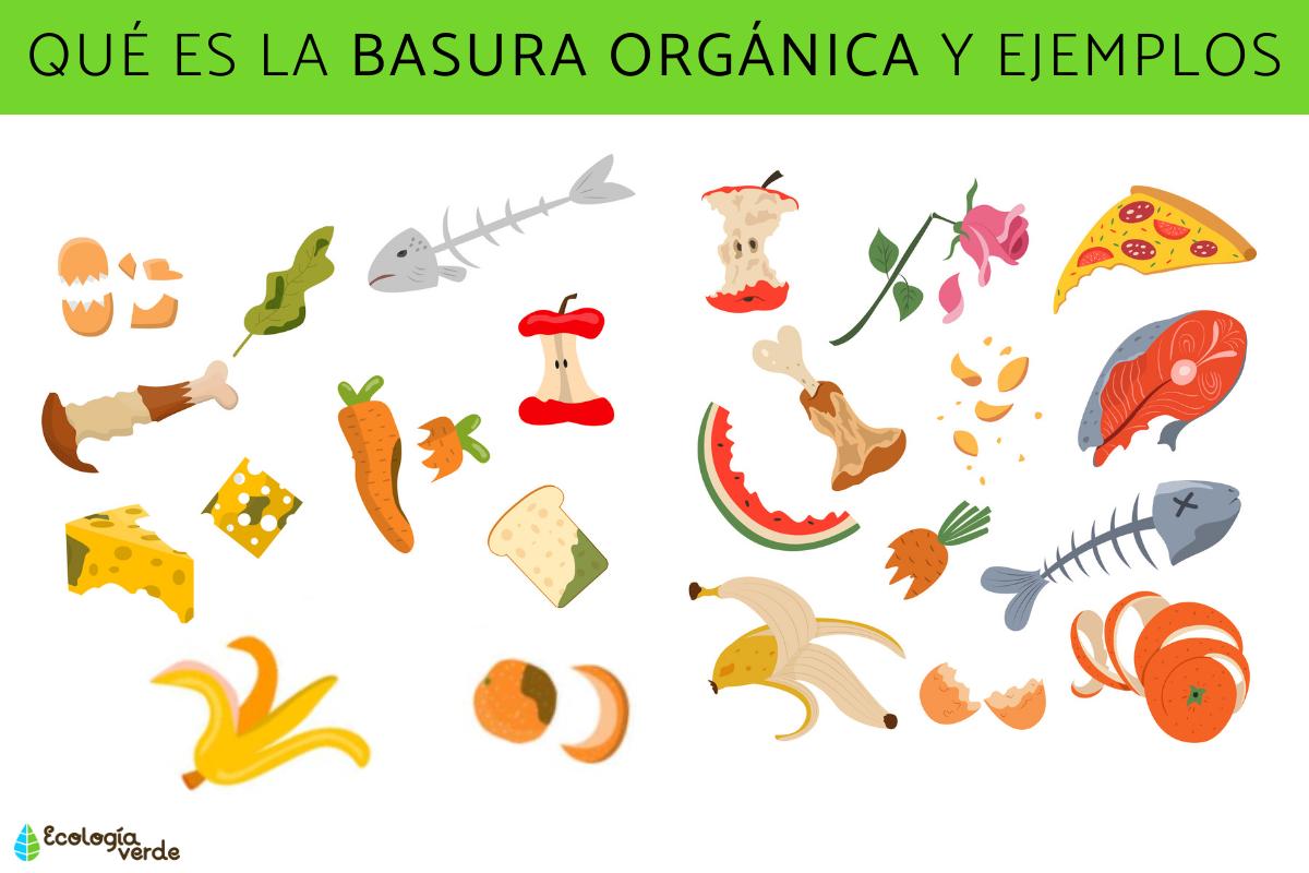 Qué es la basura orgánica y ejemplos
