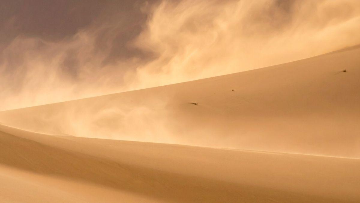 Polvo sahariano: descubre cómo fertiliza bosques y océanos