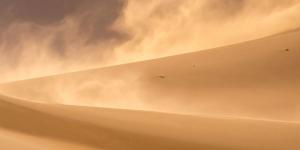 Polvo sahariano: descubre cómo fertiliza bosques y océanos