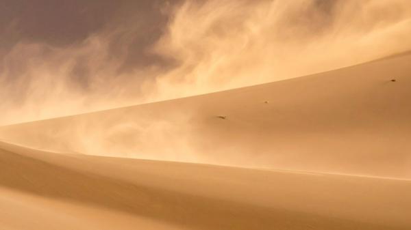 Polvo sahariano: descubre cómo fertiliza bosques y océanos
